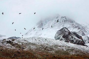 Our trip to the Alps
