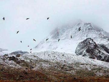 Our trip to the Alps