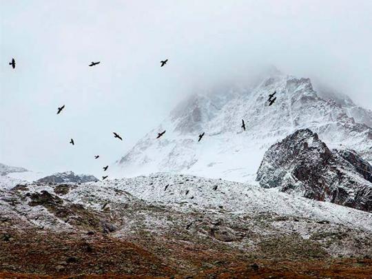Our trip to the Alps